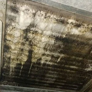The Ultimate AC Maintenance Checklist 2 The Ultimate AC Maintenance Checklist Cleaning Evaporator Coil