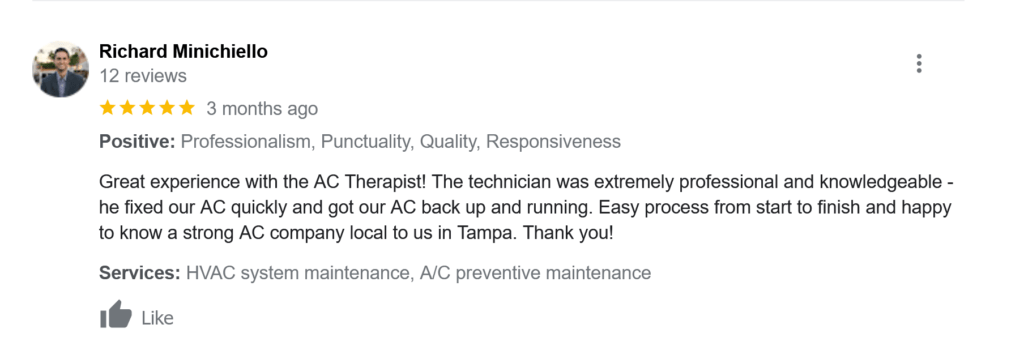 The AC Therapist Customer Review