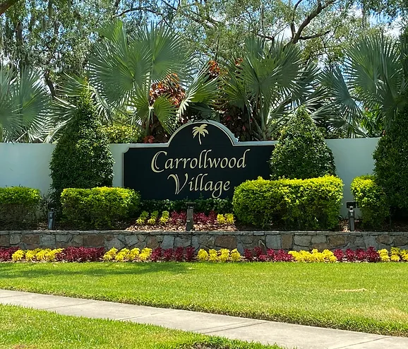 greater Carrollwood ac repair