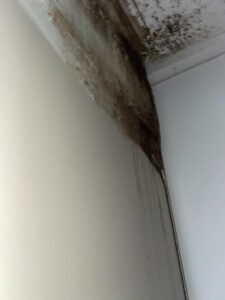 8-Step HVAC Dehumidifier Guide for Ultimate Comfort, Health, and Efficiency 1 8-Step HVAC Dehumidifier Guide for Ultimate Comfort, Health, and Efficiency