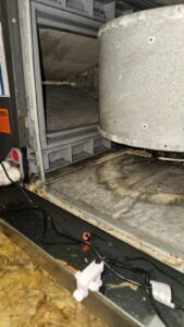 What is Dirty Sock Syndrome? 1 What is Dirty Sock Syndrome?