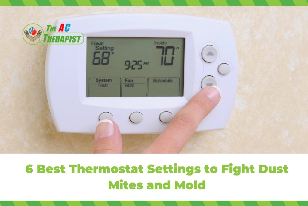 6 Best Thermostat Settings to Fight Dust Mites and Mold