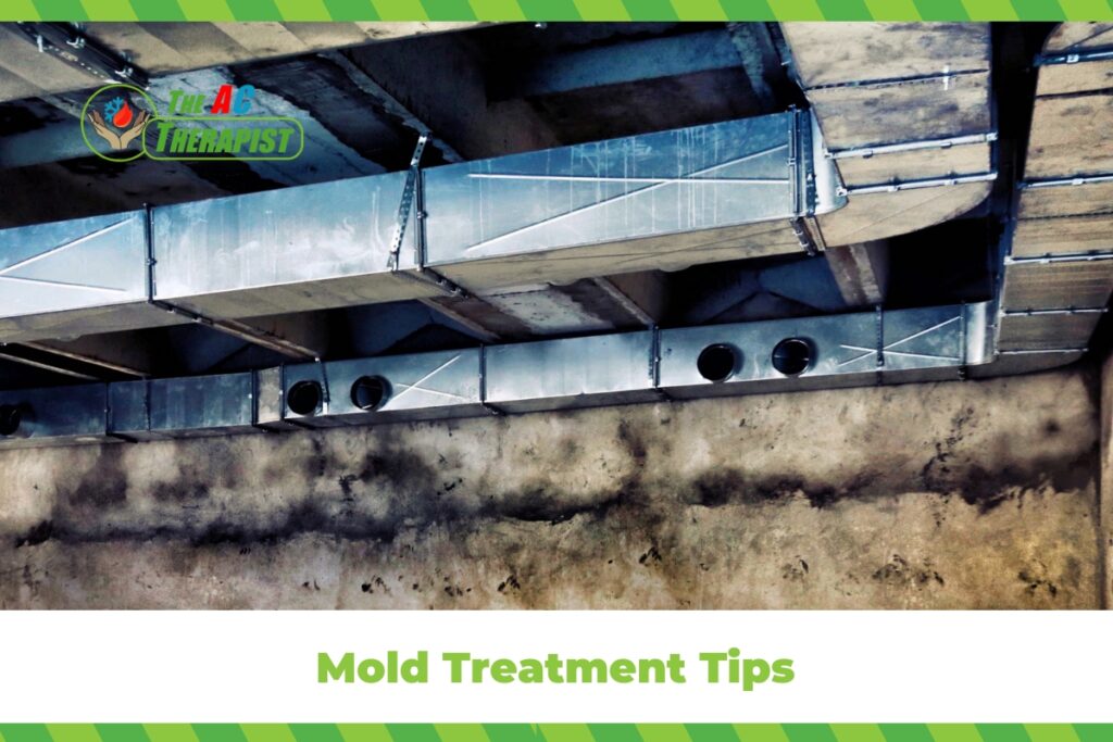 Mold Treatment Tips