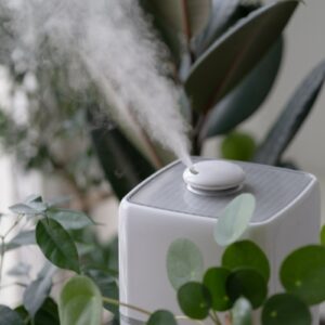 Humidifiers Tips 1 Humidifiers Tips