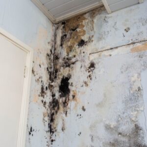 5 Shocking Health Risks of Neglected HVAC Systems